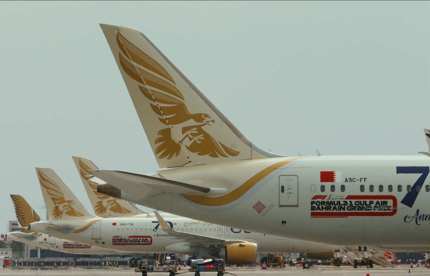 Gulf Air resumes flights to Geneva and Nice